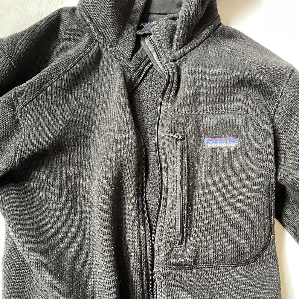 Patagonia Better Sweater Hoodie